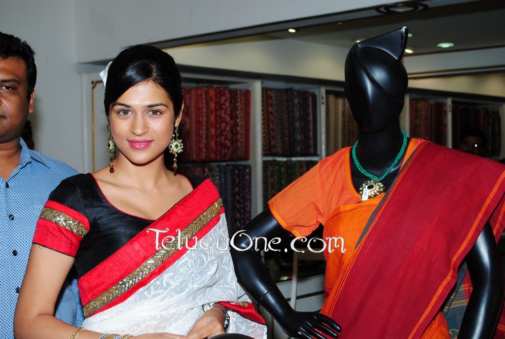 Shraddha Das Saree Stills